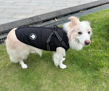 Водонепроникна тепла куртка для собак на шлейці, зимовий одяг для малих, середніх та великих собак, підходить для Лабрадорів, Чихуахуа, Французьких бульдогів. Колір: зелений (S (2-3 кг), чорний)