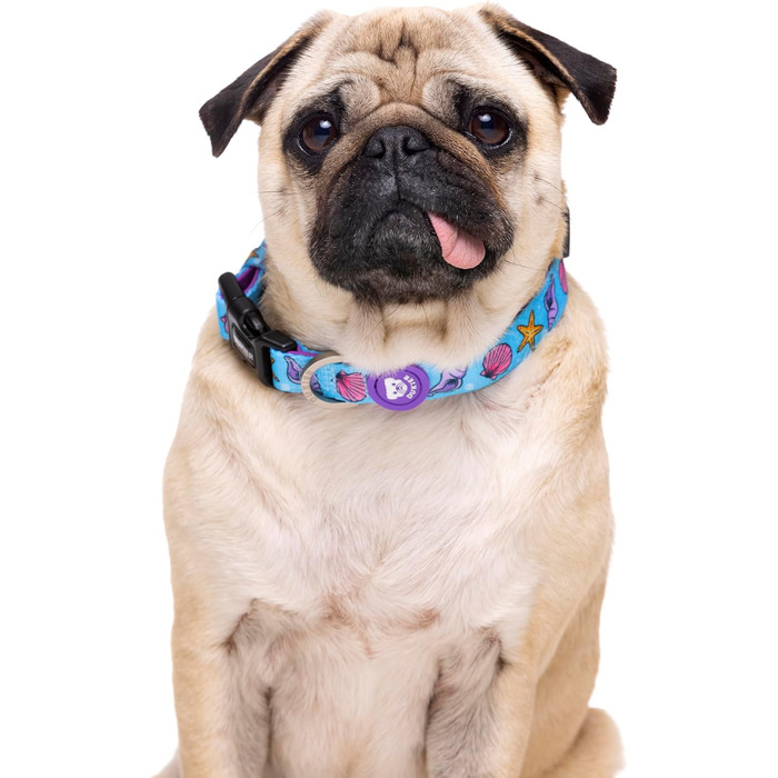 Нашийник для собак DUKIER, регульований, з неопрену, міцний, дизайн 