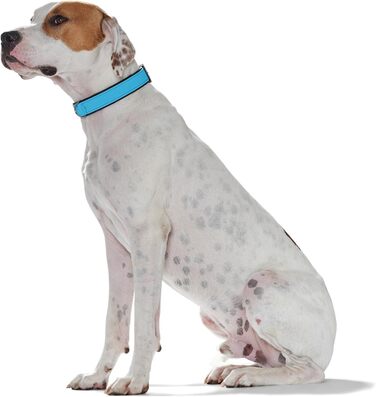 Нашийник для собак HUNTER SOFTIE, штучна шкіра, м'який, легкий у догляді, розмір L (50-55 см), колір: бірюзовий