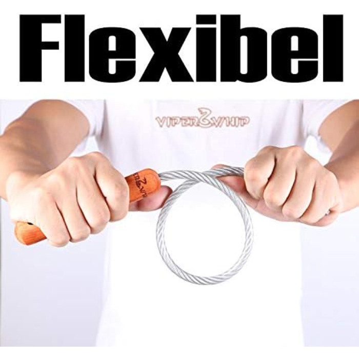 Бич для собак, дресирування, захист: біг, трюки, безпека