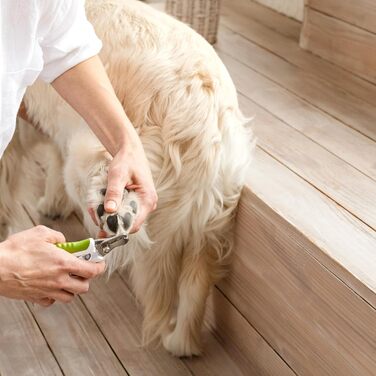 Ножиці для обрізання кігтів собак та котів з блокуванням - інструмент для догляду за дрібних та середніх порід - безпечний та захисний інструмент для стрижки кігтів, з електронною інструкцією