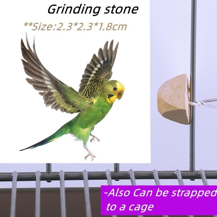 Рюкзак для птахів з дерев'яною жердкою, переноска для птахів з жердкою та нержавіючою сталею, легкий рюкзак для папуги, з нержавіючою сталею та жердкою, для папуг, Ґолді, 1 для жування (чорний)