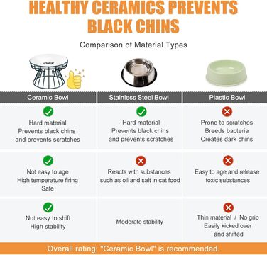 Підвищені годівниці для котів Surmounty (2 шт.) з підставки з силікону, металевий стійкий каркас, миски для корму та води
