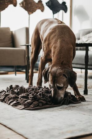 Шнуфлючий килимок для собак LILA LOVES IT 56x56 см - преміум іграшка для вихованців, стильний дизайн, міцний та пральний