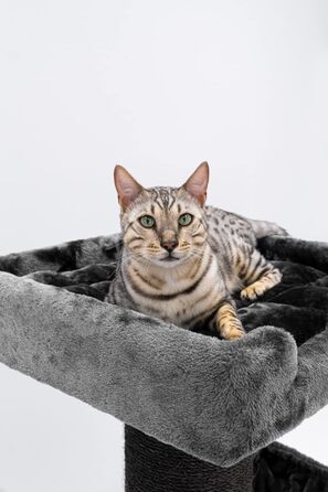 Когтеточка для великих котів Petrebels Maine Coon, 117 см, преміум-якість, стовпи Ø20 см, чорна