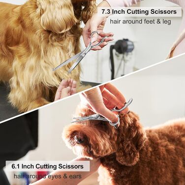 Професійний набір ножиць для грумінгу собак CIICII 10-в-1 з безпечними закругленими кінцями. Ідеально підходить для собак, котів та інших домашніх тварин. Срібний колір.