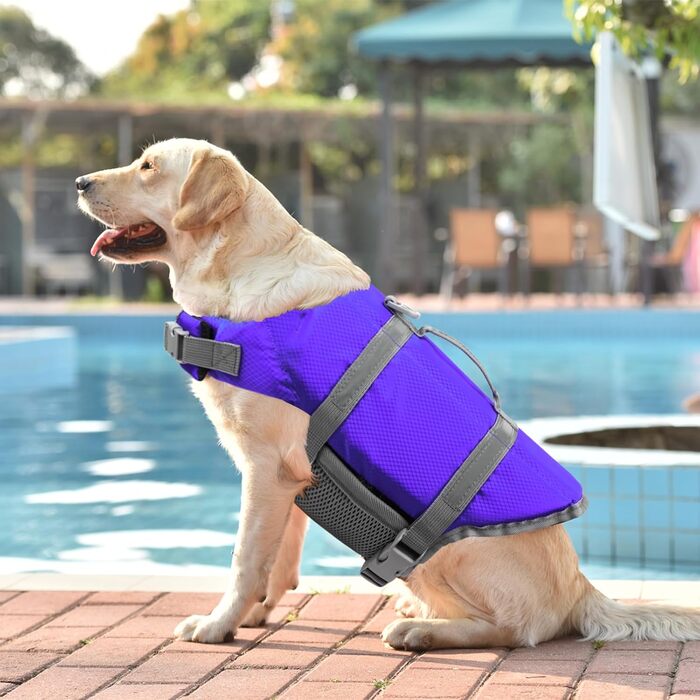 Жилет для плавання собак Doglay, світловідбиваючий, регульований, для малих, середніх та великих собак (M, фіолетовий)