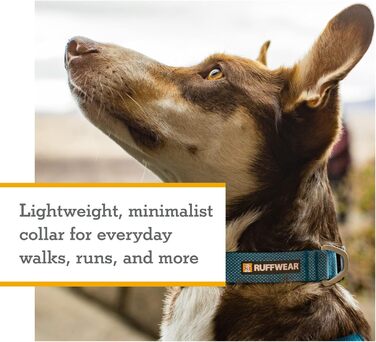 Нашийник для собак RUFFWEAR Hi & Light, ультралегкий і міцний, Tubelok-стрічка, алюмінієве кільце, Sage Green, розмір S (28-36 см)