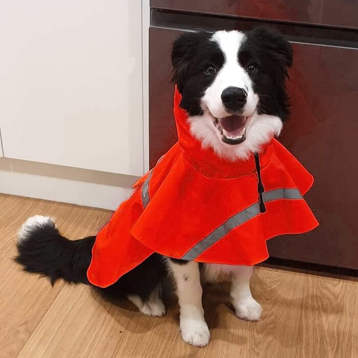 Дощовик для собак, дощовий плащ для собак з капюшоном, підходить для шлейки, легкий та світловідбиваючий дощовик для собак середніх та великих порід (Червоний, S)