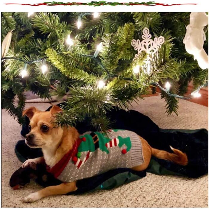 Пуловер для собак ABRRLO, карнавальний костюм клоуна, теплий зимовий халат, бавовна, XL