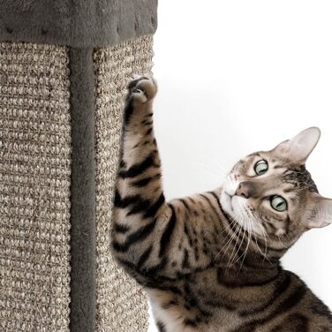 Драпак для котів Arquivet Eckkratzer сірого кольору, 12x12x49 см - великий вертикальний драпак, аксесуари для котів, точилка для кігтів