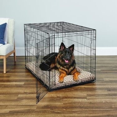Кія Hundebox B30 - переноска для собак, 76 см, для маленьких порід, з піддоном, захистом підлоги та окремими дверима (124 x 76 x 82 см)