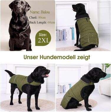 Зимовий теплий водонепроникний одяг для собак, куртка для активного відпочинку, розмір M (обхват грудей 53 см), колір зелений