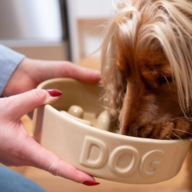 Миска для собак Mason Cash Cane Keramik для повільного годування, кераміка, підвищені борозни, для здорового травлення, довговічна, придатна для миття в посудомийній машині, для собак маленьких, середніх та великих порід