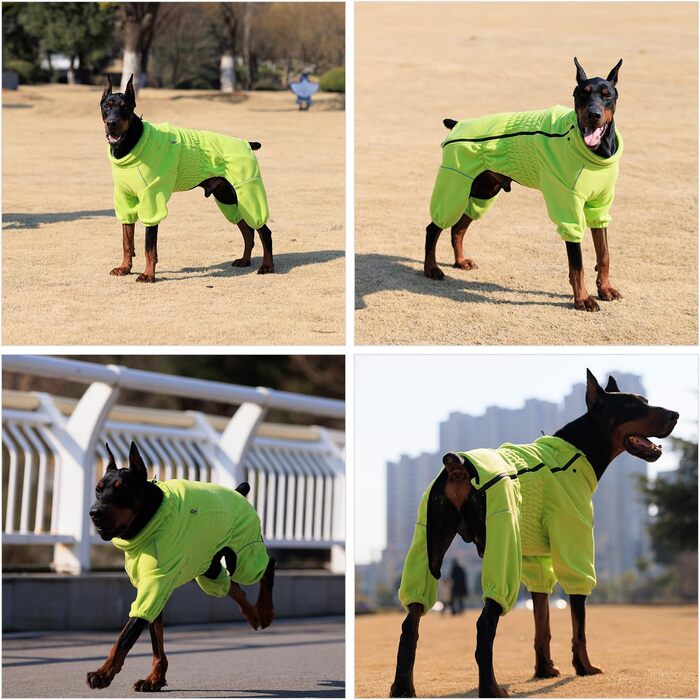 Зимовий теплий одяг для собак, тепла куртка для собак, флісовий одяг для собак з блискавкою, одяг для собак на вулицю Green XXL