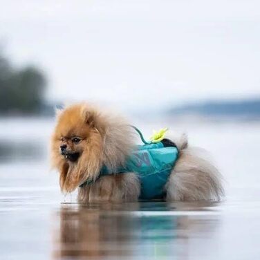 Жилет рятувальний для собак Protector, колір teal, розмір 2