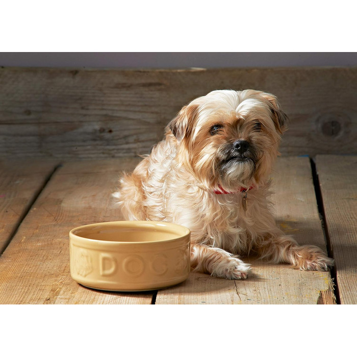 Миска для собак Mason Cash з порцеляни, з ручкою та синім написом, 15 см