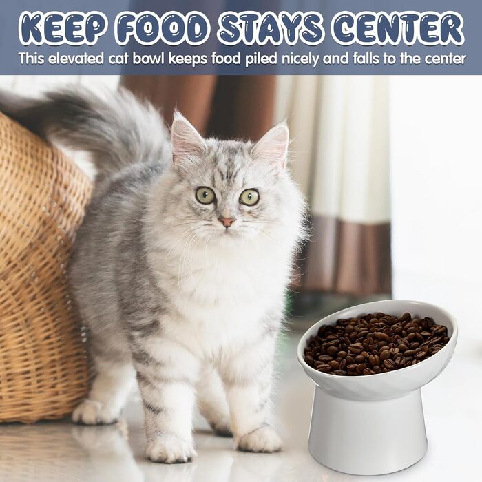 Керамічні годівниці для котів Tanlade з підняттям, нахилені, анти-рефлюкс, для дому, 4 шт. (білий та сірий)