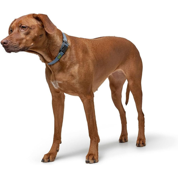 Нашийник для собак Hunter Vario Plus, сірий, M-L/2.0, надійна застібка, комфортний