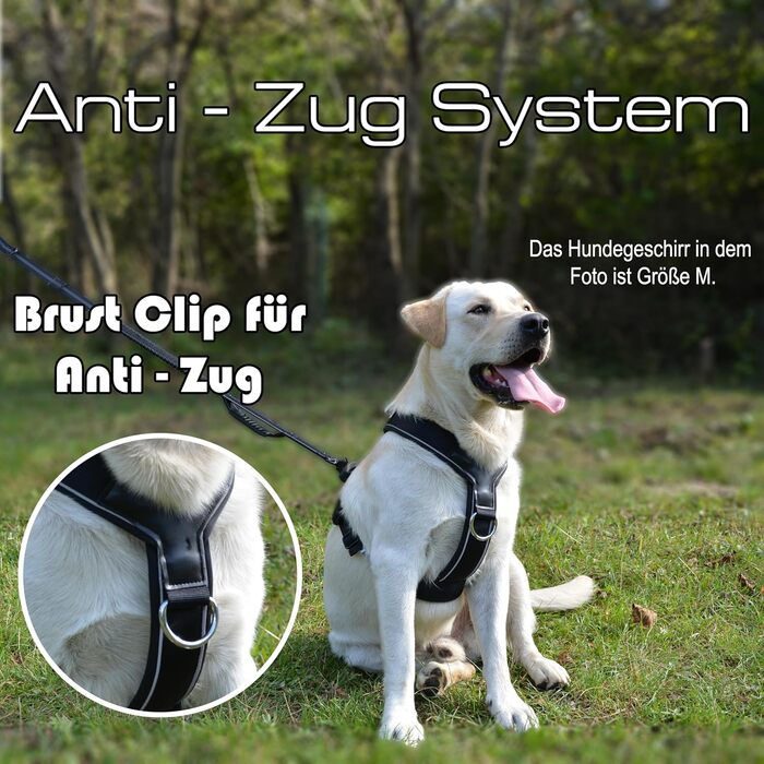 Нашийник для собак ILII - міцний, елегантний та комфортний. Унікальний дизайн для середніх та великих собак. Чорний, мінімальне покриття.