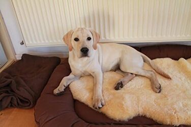 Шкіряний лежак для собак та котів Merino-Lammfell, X-Large, 100 см. Медична обробка, легко миється (30°C). Німецька якість.