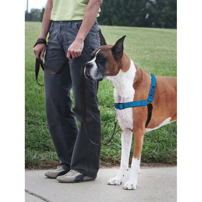 Шлея для собак PetSafe Deluxe Easy Walk, нейлон, антипотяг, чорна