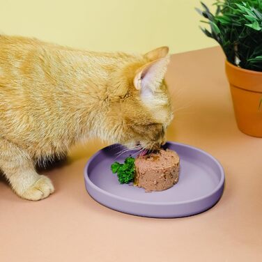 Миска для котів [nala Collection] - широка силіконова миска для корму | миска для котячого корму | силіконова тарілка для котів (холодний ліловий)