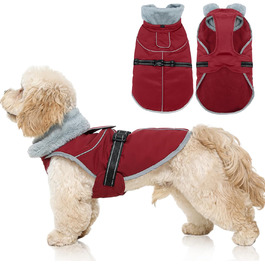 колір: гниль