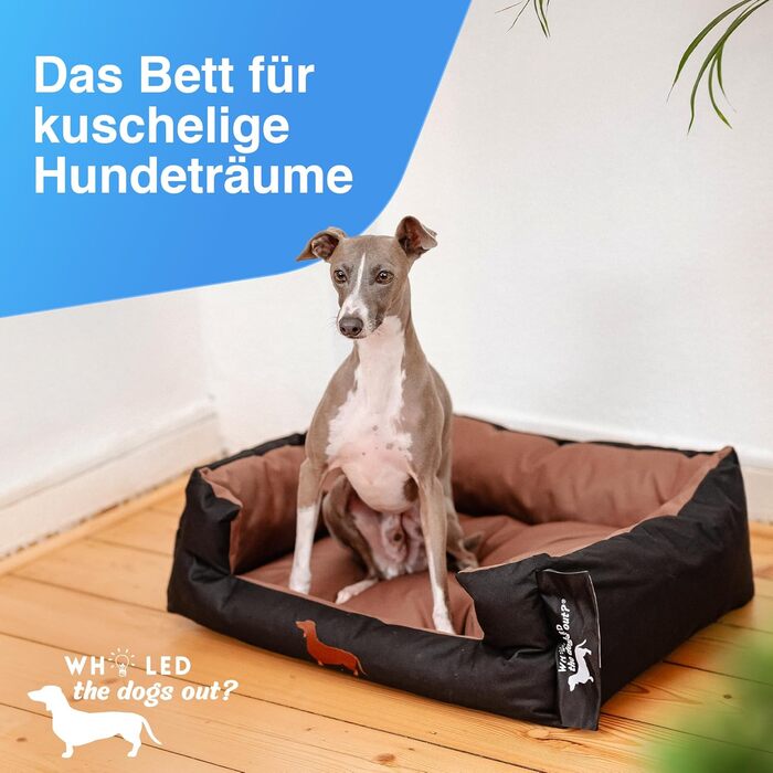 Міцне собаче ліжко для великих і маленьких собак, цуценят та літніх тварин. Собаче ліжко-софа, кошик з подушкою. Світлі та темні кольори, середні породи, з м'якою оббивкою. Виберіть колір S onyx