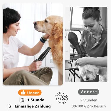 Фен для собак Blower 3000W, тихий, з регулюванням швидкості, 4 насадки, синій