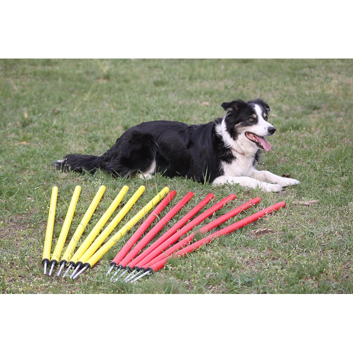 Набір для тренувань Wuzzmann Agility - Слайт-конуси (12 шт), червоно-жовтий