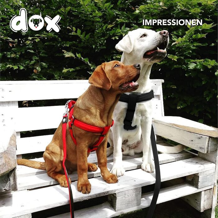 DDOXX Нейлонова шлейка для собак Step-In, регульована, для цуценят та дорослих, розмір XXS, жовта