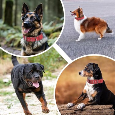 Нашийник для собак з натуральної шкіри, XL, червоний. Товстий, м'який, 5 см, для середніх та великих порід