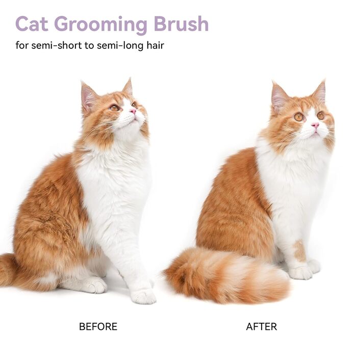 Щітка для котів Aumuca з кнопкою витягування, довговічна, для короткої та довгої шерсті, видаляє відмерле волосся та масажує, фіолетова