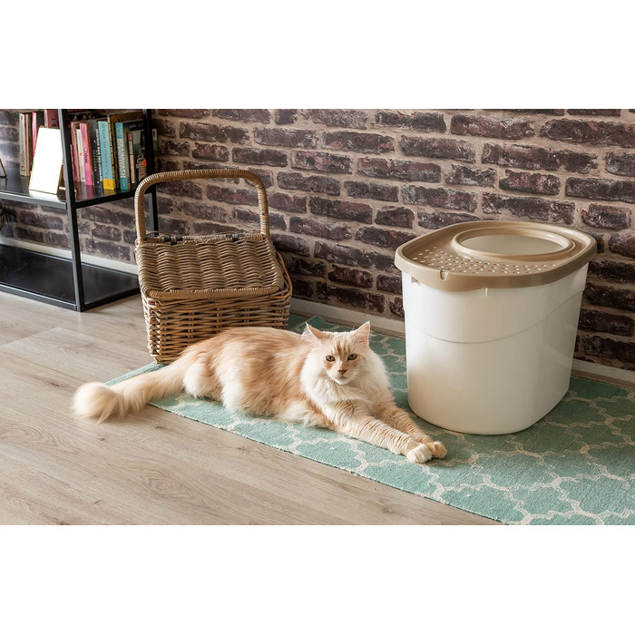 Котлован для котів Iris Ohyama TECL-20 Beige Mittel: закритий, XXL, BPA-free, для великих котів та кошенят