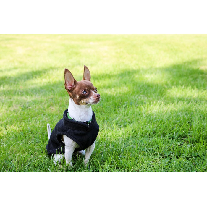 Тепла жилетка JACKO & CO для собак та котів з кільцем для повідка, чорна, розмір XXL (10,8-15,9кг)