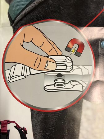 Нашийник для собак Petlando MAGNETECH Mesh Fuchsia/Navy, XXS, 30-35 см, ширина 2,5 см