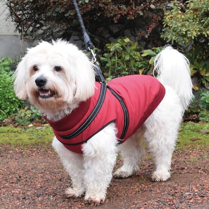 Теплий зимовий нашийник для собак Bobby Easy з інтегрованим повідком, Bordeaux, 34 см