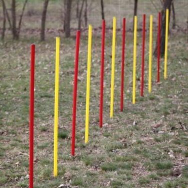 Набір для дресирування аджиліті Fun Agility: шлагбауми для аджиліті, гнучкі стійки, червоно-жовтий