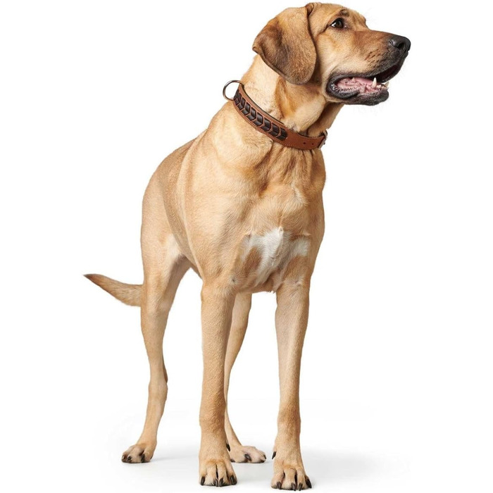 Нашийник для собак HUNTER EL PASO, шкіряний, плетіння, розмір S-M, колір cognac/чорний