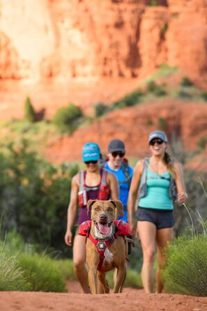 Рюкзак для собак Ruffwear Trinkruckack (Blue Duk) з водою 2x600 мл + Ingletrak Pack 200 мл