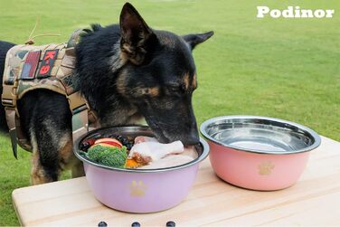 Podinor Велика миска для води для собак, 4,8 л, нержавіюча сталь, чорна, 2 шт, для великих порід