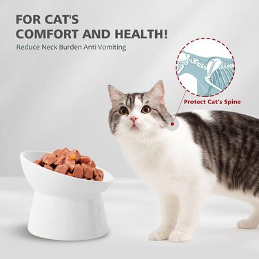 Котло propositions для котів з кераміки, піднятий годівниця, 15° нахил, 280 мл, білий, великий - для запобігання зригування