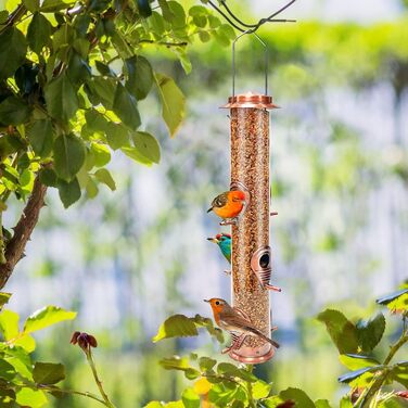 Металева годівниця для птахів з підвісним тросом, 6 відділень, для насіння, антична мідь