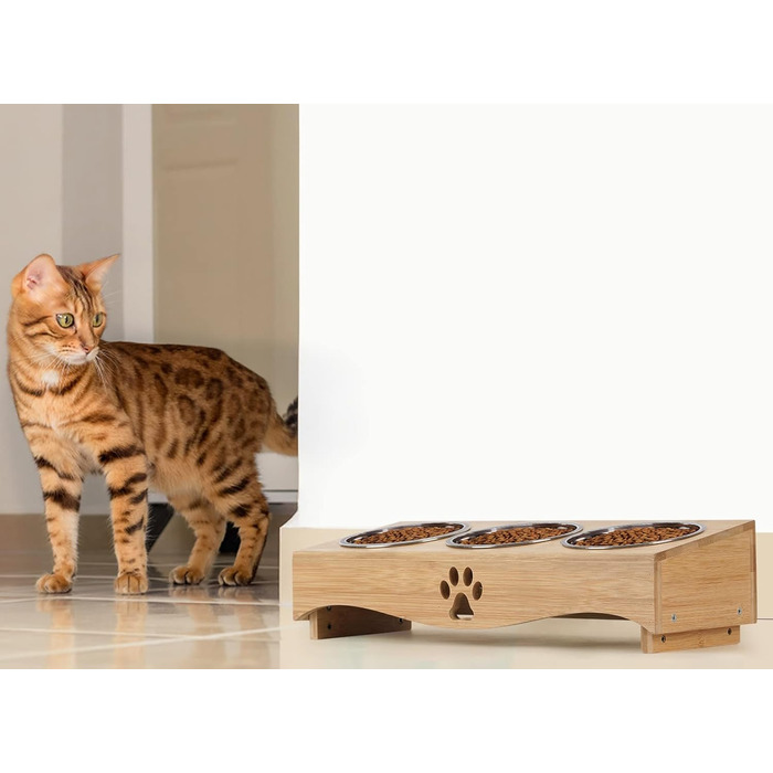 Набір мисок для котів JUJOYBD 3 шт. - підняті миски з нержавіючої сталі, кут нахилу 15°, ергономічна станція для годування котів та маленьких собак