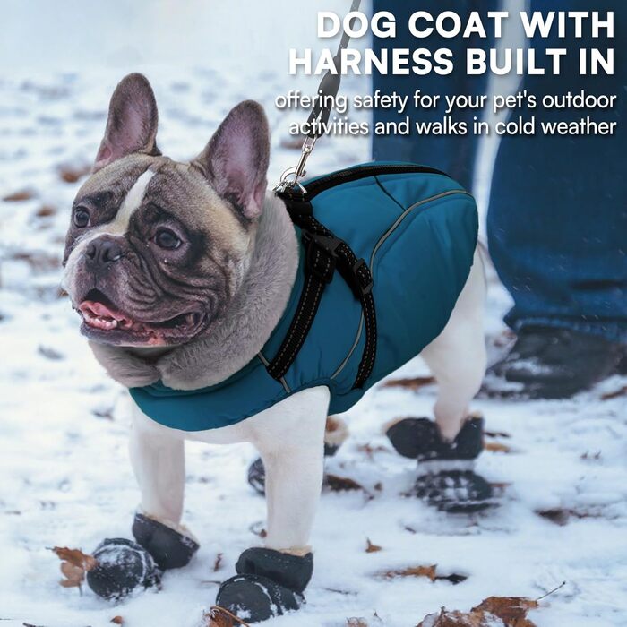 Зимовий теплий водонепроникний одяг для собак Queenmore, куртка для собак з шлейкою, 3-шаровий, світловідбиваючий, для великих порід (Лабрадор, Хаскі, Голден Ретрівер) (2XL) (XS, Коеліновий блакитний)