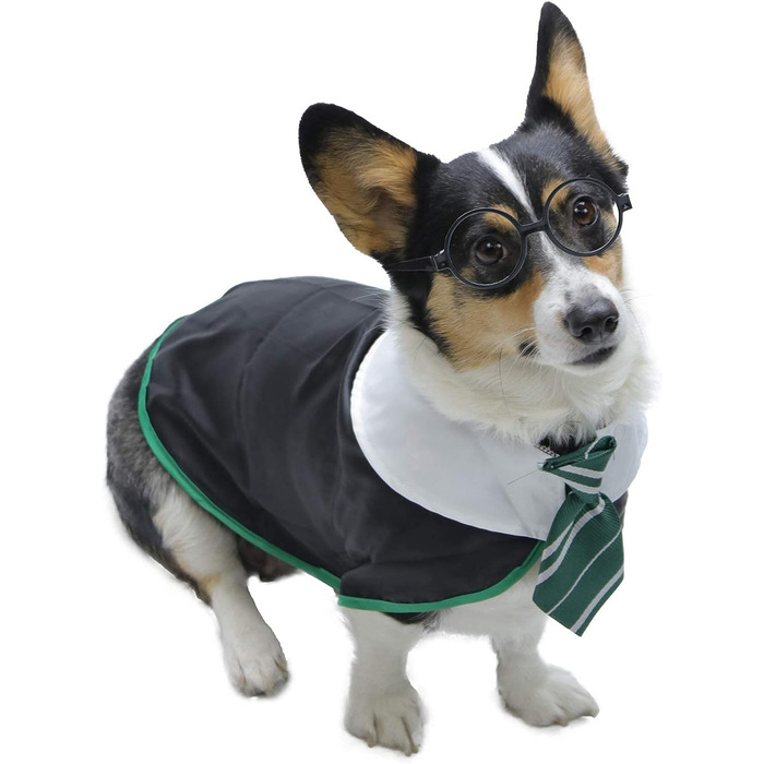 Сорочка для собак на Хелловін Impoosy: костюм кота-чаклуна, мила та м'яка сорочка з окулярами (розмір M, обхват шиї 35,6 см), чорний