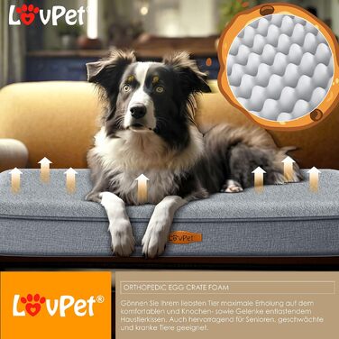 Ортопедичне ліжко для собак Lovpet Cookie XL, антрацит, з мискою і 3 кісточками, знімний і праний чохол, для малих, середніх і великих собак