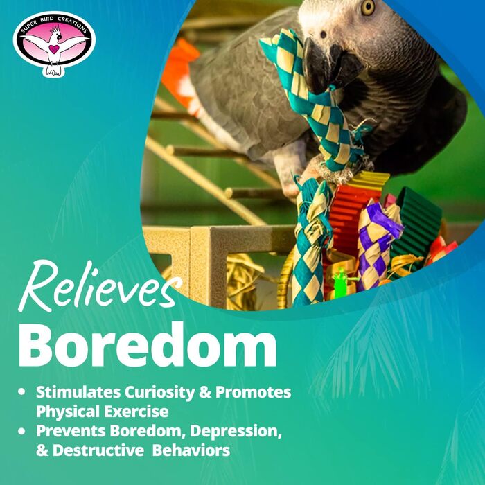 Super Bird Creations SB669 Плетений кошик для папуг середнього розміру, іграшка для кільчастих, конур, квакерів, кайків, піонусів, сенегалів, різнокольорова з хрусткими текстурами, 25,4 x 10,2 x 12,7 см