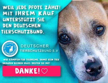 Набір з 2-х: велика складана пляшка для води для собак + щітка для зубів | Пляшка для собак 800 мл | Без витоку